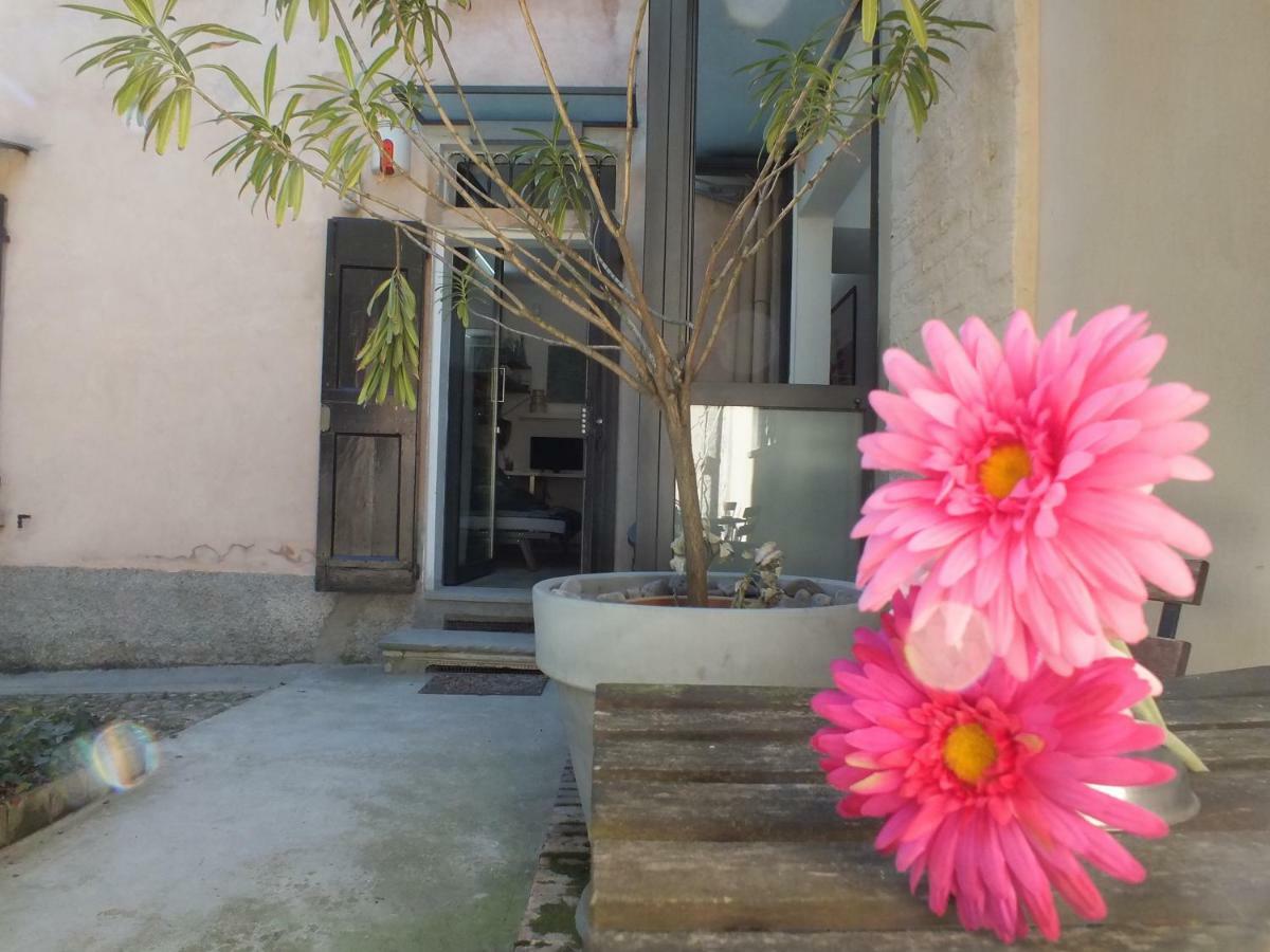 Loft Garden In Bologna'S Heart Ospedale Rizzoli Apartment Екстериор снимка